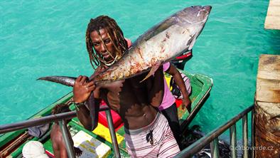 Fish-107 Fish-107