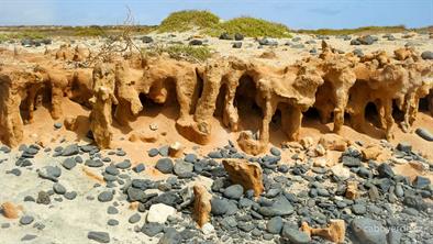 Východní pobřeží Salu Východní pobřeží Salu